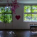 유동목장 이미지