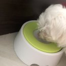 비비펫동물병원 이미지