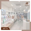 봄앤동물병원