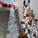 고양이 무마취미용 고미고미 화명점 이미지