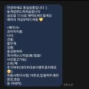 몽실쌀롱 | 예민보스 11살 노견의 미용, 진주애견미용잘하는곳 몽실살롱