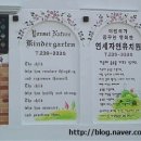 연세자연유치원 이미지