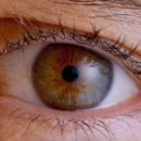 코아안경 이미지