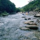 솔밭캠프 이미지