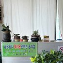 상관정육식당 이미지