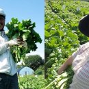 연하농장 이미지