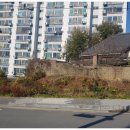 비둘기2길 이미지