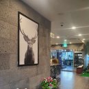 에이스 스크린골프 이미지