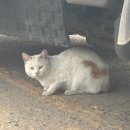 산일마을회관 | [등산] 등린이 커플 다섯번째 등산, 무갑산 다녀온 후기