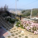 승원공인중개사사무소 이미지