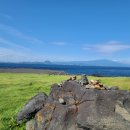 제주자연 태양광발전소 이미지