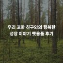 토토펫 | 우리 꼬마 친구와의 행복한 성장 이야기 펫용품 후기