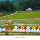 봉화목장 이미지