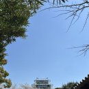 후쿠오카 숙소 추천 윙인터네셔널 하카타에키마에 슈페리어싱글룸/조식 후기