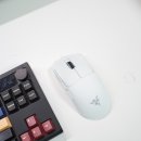 바이퍼 | 게이밍 마우스 추천 레이저 바이퍼 V4 Pro 바브사 후기