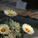 바람과 구름 이미지