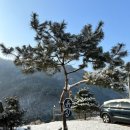 무릉도원흙집 이미지