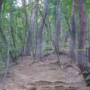 ■ 수리봉(480m,금곡)-수리봉(358m,와부)연계산행 이미지