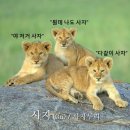 김천세무서 | 슬기로운 7월 생활