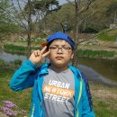 김주원농장 Daum카페
