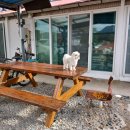 솔바다민박 이미지