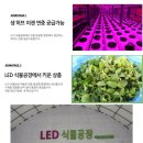 천초법인