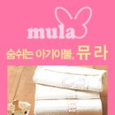 나성세탁 이미지