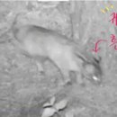 종은농장 이미지