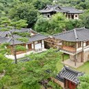 5월 가족여행 추천 아이랑가볼만한곳 하동 꽃양귀비 축제