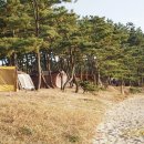 곰섬야영장 이미지