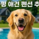 멍스빌리지풀빌라2 이미지