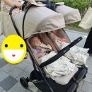 [내돈내산] 쌍둥이 유모차 '잉글리시레나 트윈스케치' 후기!!!