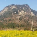 올레수산회센터