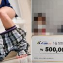 막내복권 이미지