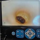 경인로193번길 | 아놔, 우리 집 화장실 10분 전까지 평화로웠다고요