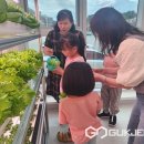 스마트팜 이미지