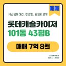 롯데캐슬아파트 101동 앞 횡단보도 | 화명 롯데캐슬카이저 43평 101동 강조망 일부수리 매물 타워형