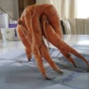 홍당무 이미지