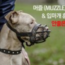 머즐(Muzzle) 이미지