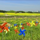 하늘정원1 - 보은군 구병길 4-24 | 하늘정원1