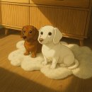 레몬비 양문점 | 25년 4월 1주차 “4월스러운”