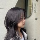 판교청소년수련관.판교종합사회복지관 이미지