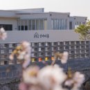 강아지풀 애견 이미지