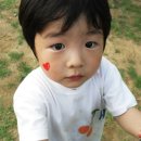 산흥초교 이미지