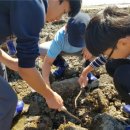 갯벌생태 체험장 이미지