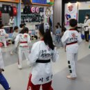 경희대 수 태권도장 이미지