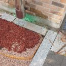 시립영천어린이집 이미지