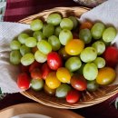 오늘의식탁 이미지