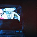 중앙카시트 이미지