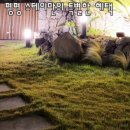평평스테이